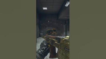 MW2 Season 5 Executive Warfighter 3 Bundle Weapon Blueprint Camo Showcase PDSW 528 Part 2