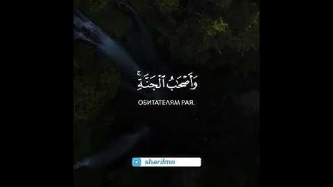 شريف مصطفى بنبرة تبكي الحجر 😭أجمل حالات واتس اب قرآن كريم بصوت جميل جدا