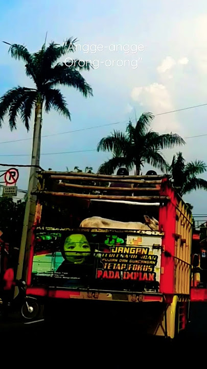 Angge-Angge Orong-Orong #musik #music #laguviral #lagu #viral #storywa #musicvideo #viralmusic