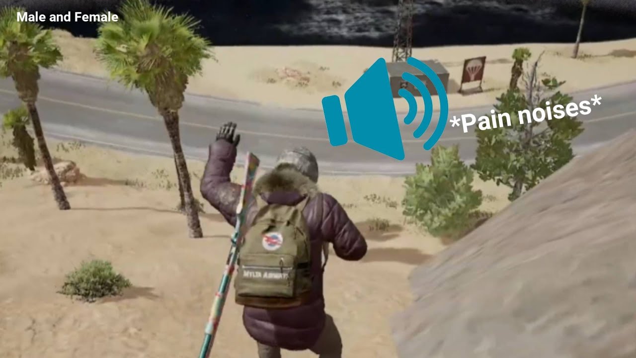 PUBG All Hurt sounds (Male and Female)