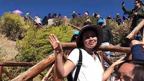Celebrating Peru's Independence Day