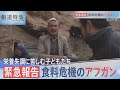 栄養失調に苦しむ子どもたち　緊急報告・食糧危機のアフガン【報道特集】