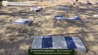 PGT Explained | First Outdoor GTO Task at SSB Interview | Olive Greens Institute
