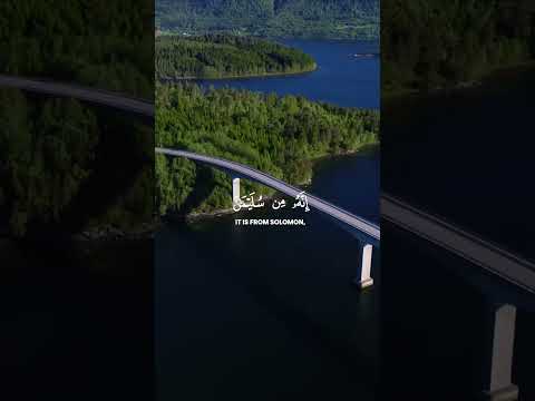 انه من سليمان و انه بسم الله الرحمن الرحيم اسلام صبحي