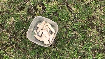 IMPULSE CONTROL 101 GERMAN SHEPHERD DOG TRAINING