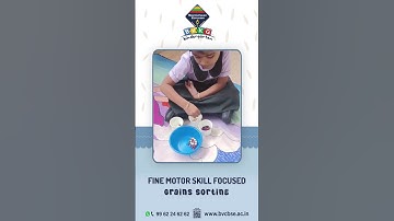 Fine Motor Skill Focused – Grains Sorting