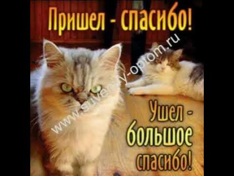 Почему не приходят спасибо. Пришел спасибо ушел большое спасибо. Спасибо что пришли. Спасибо всем кто пришел. Спасибо обязательно приду.