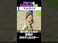 ドラクエの美人キャラ 5選
