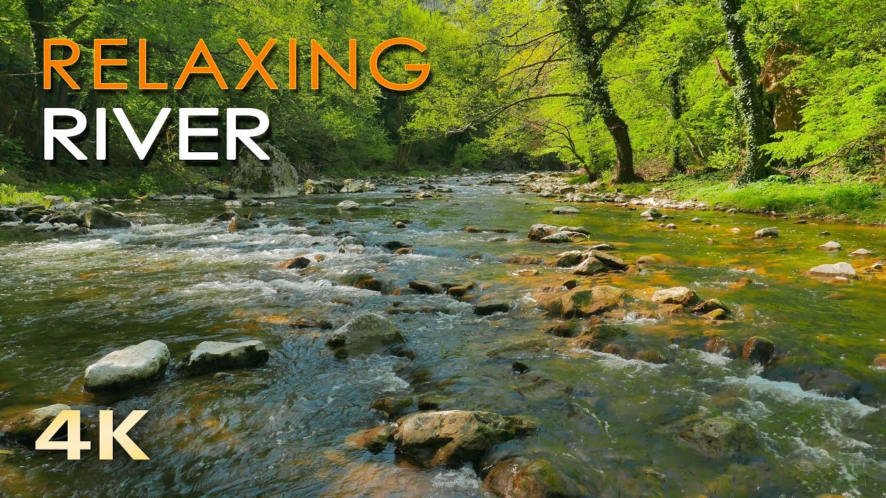 4K Relaxing River   Ultra HD Nature Video    Water Stream  Birdsong Sounds   SleepStudyMeditate