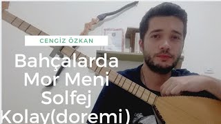 Cengiz Özkan-Bahçalarda Mor Meni-GELİN-SOLFEJ (KOLAY DOREMİ) #cengizözkan #solfej Resimi