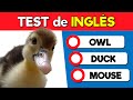 Test de Inglés ANIMALES 🤓📌 Nivel Fácil 🇺🇸 ¿Cuánto sabes de inglés?