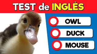 Test de Inglés ANIMALES  Nivel Fácil  ¿Cuánto sabes de inglés?
