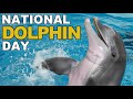 National Dolphin Day