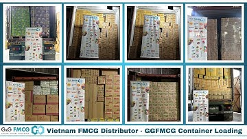 Vietnam fmcg distributor - ggfmcg - container loading