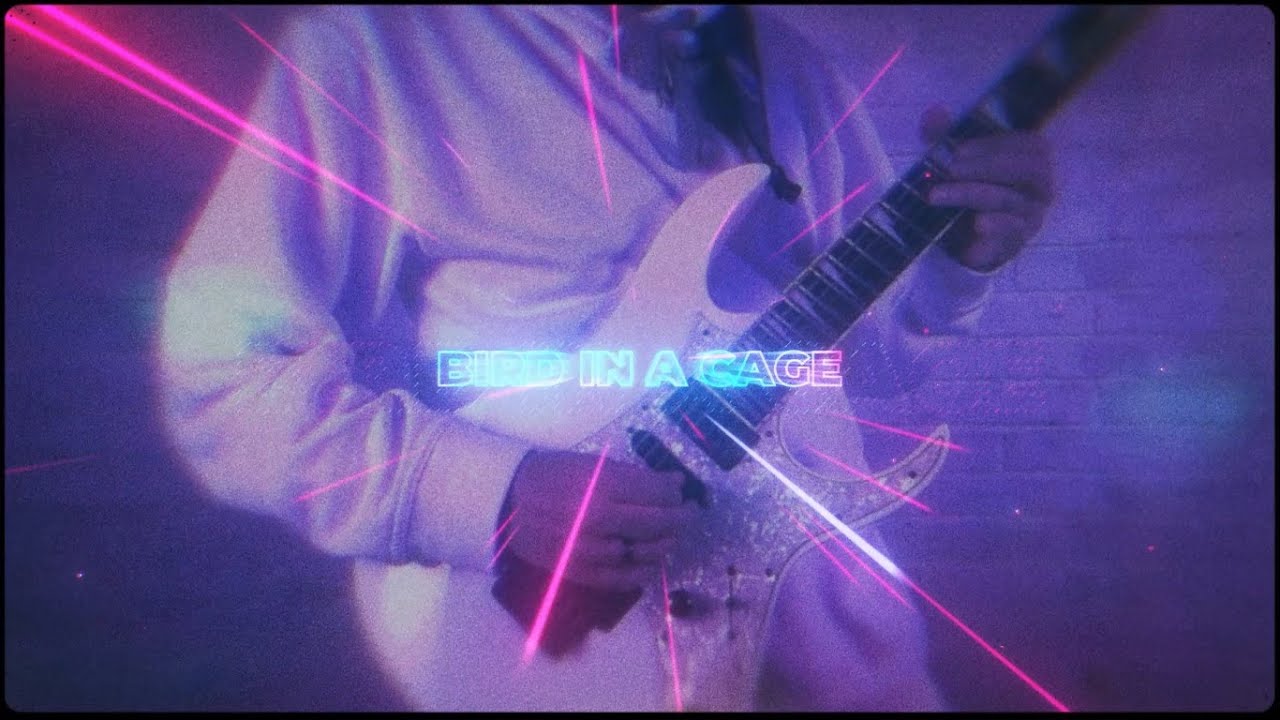 Night Ride Station - Bird in a Cage (Lyric Video)