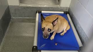 acs A665298