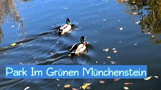 Basel Münchenstein Park Im Grünen Part 2