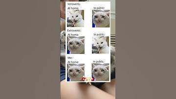 Are you an Introvert or an Extrovert? 🧐🤓 #shorts #memes #funnymemesthatmakesyourday