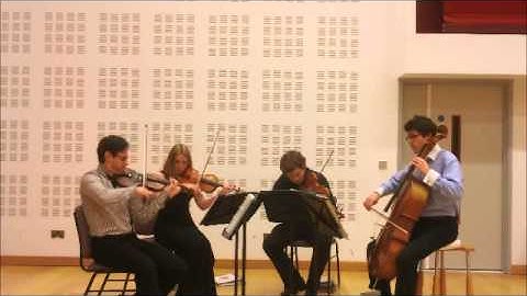 The Endymion String Quartet - Queen Bohemian Rhapsody