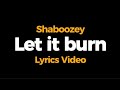 Shaboozey Let It Burn Lyrics mp3