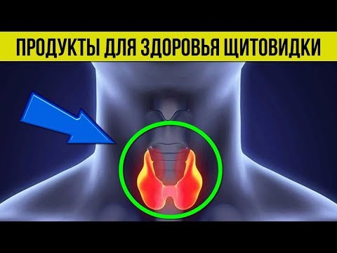 КАК сохранить здоровье ЩИТОВИДНОЙ ЖЕЛЕЗЫ Самые ПОЛЕЗНЫЕ ПРОДУКТЫ для щитовидки Секреты ЗДОРОВЬЯ