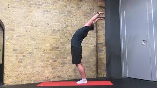 Multi Segmental Extension