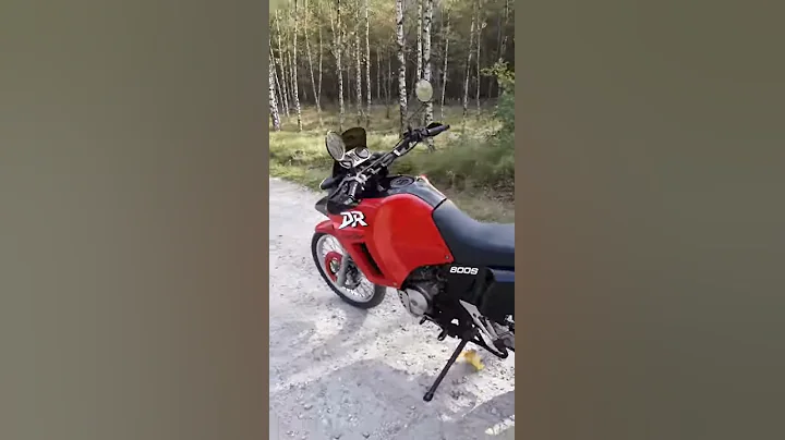 Suzuki DR 800 BIG