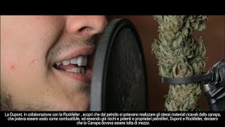 GALUP - Erba del Re ft. Milan Lion (prod. Kuma19 & Cianobi) [ Video]