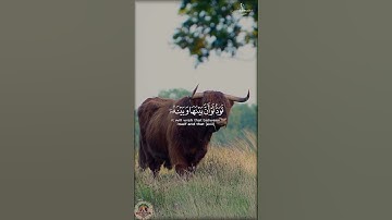 يَوْمَ تَجِدُ كُلُّ نَفْسٍ مَّا عَمِلَتْ | تلاوة خاشعة من سورة آل عمران بصوت أحمد العجمي #viral