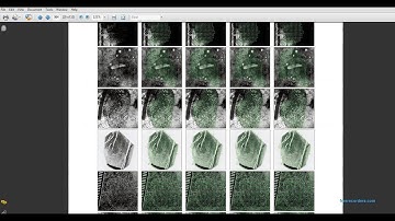 Localized Dictionaries Based Orientation Field Estimation for Latent Fingerprints
