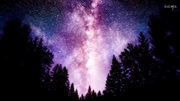 Once Upon A Winter - Selective Depression in Chase of the Big Bang