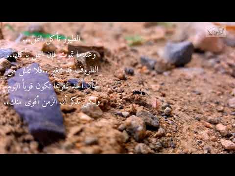 حالات واتس اب المعلم العربي ٧