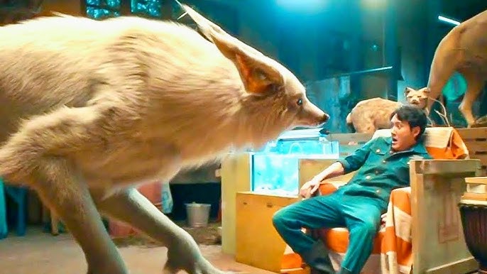 Ірі пландағы жеке бля Әйелінің үйдегі порносын онлайн көру