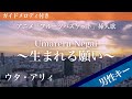 【男性キー(-4)】Umareru Negai ~生まれる願い~ / ウタ・アリィ【ピアノカラオケ・ガイドメロディ付】アニメ「フルーツバスケット」挿入歌