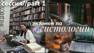 : VLOG:   //2  * 1