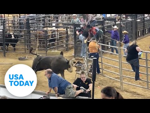 Crowd panics during Florida rodeo after bull escapes from pen | USA TODAY