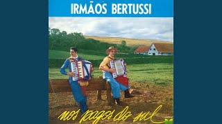 Video thumbnail of "Irmãos Bertussi - Chorando de Amor"