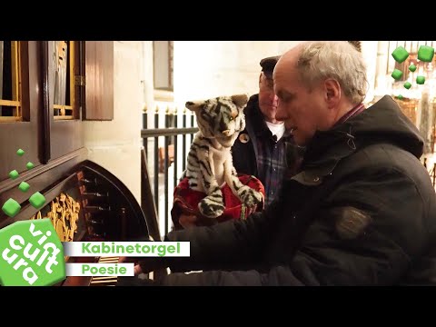 Doorkijkje Grote Kerk Kabinetorgel. Kinderserie 2, aflevering 4