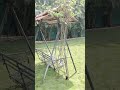 Lawn Grass After Installation