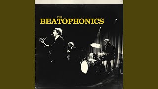 Video thumbnail of "The Beatophonics - Mohair Sam (Stereo)"