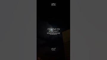 تلاوة من سورة التوبة || القارئ شادي هاني.