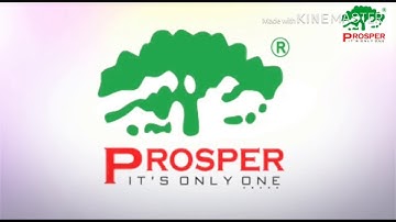 Prosper Group (PPR)