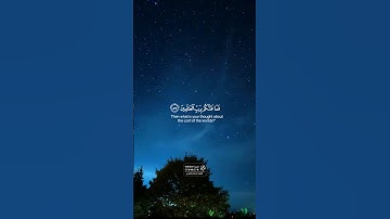 فما ظنكم برب العالمين | رزكار الكردي#تدبر #تلاوات #قرآن #السعودية #العراق #مصر #الجزائر #اليمن #ترند