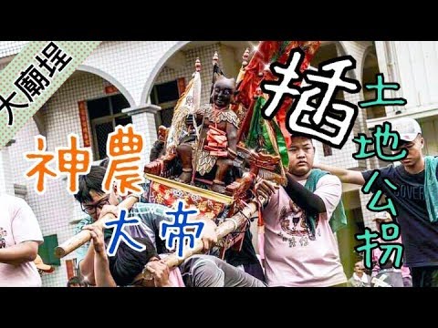 【神農大帝巡田水】除了指示是否插土地公拐，居然還會衝撞冰庫！｜民俗大廟埕 ep.014