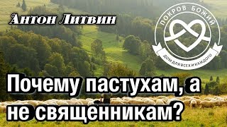 Почему пастухам, а не священникам...? Антон Литвин &quot;Покров Божий&quot;