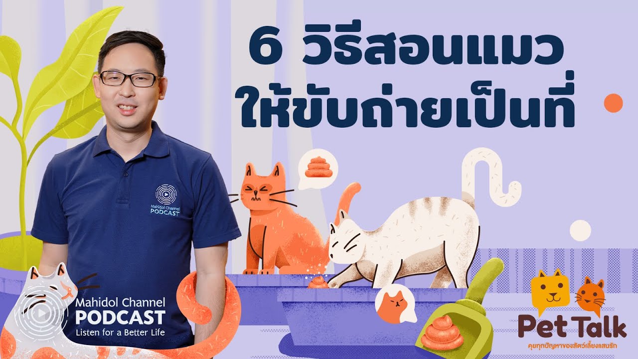 [PODCAST] Pet Talk | EP.1 - 6 วิธีสอนแมว "ให้ขับถ่ายเป็นที่"