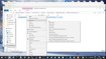 Multi Project Template Part 1