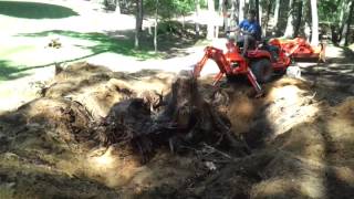 Kubota BX24: digging out a stump