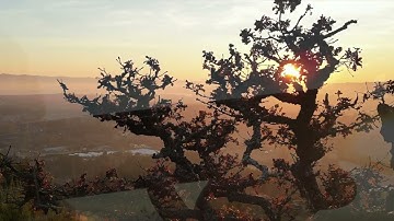 Journey of Love - Calum Graham