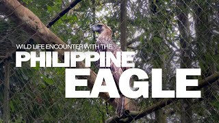 Wild Life Encounter with the Philippine Eagle- Advocacy Vlog